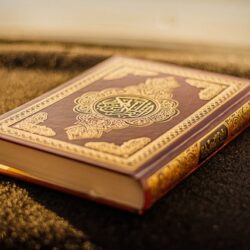 Jelaskan Pentingnya Mengadakan Perenungan tentang Ayat-Ayat Allah Subhanahu Wa Ta'ala dalam Alquran